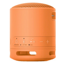 Garsiakalbis Sony SRS-XB100 Oranžinė (SRSXB100D.CE7)