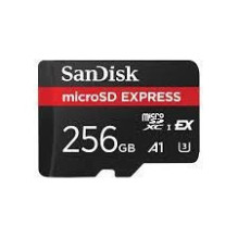 SanDisk Express 256 GB...