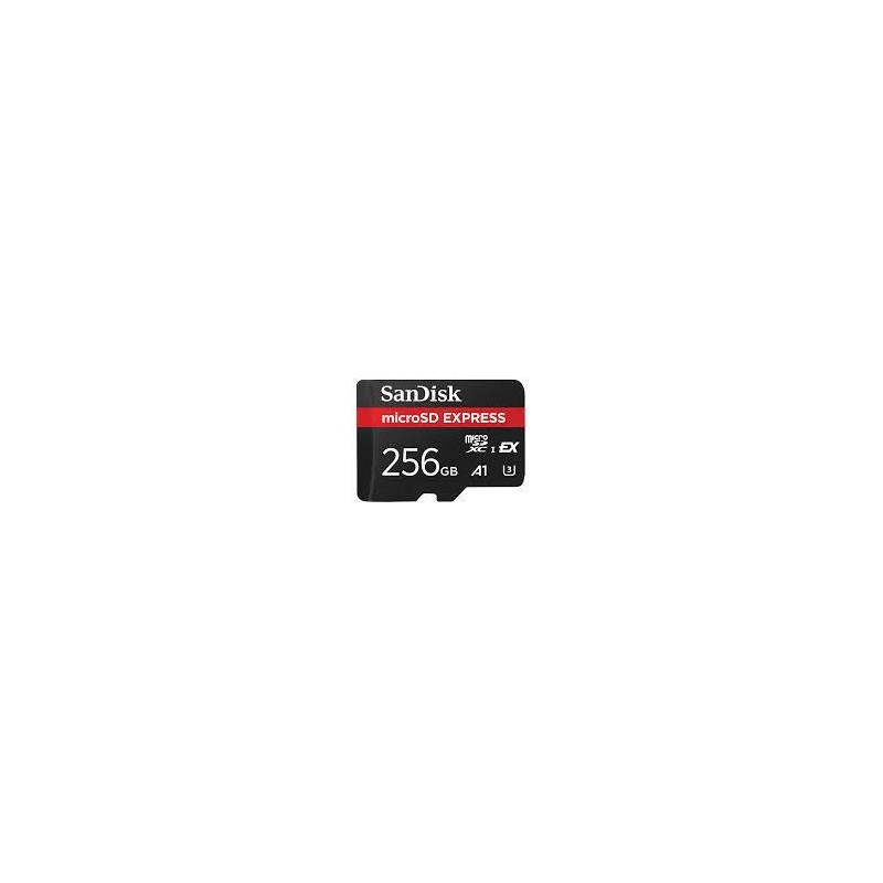 SanDisk Express 256 GB MicroSDXC UHS-I
