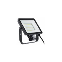 LED floodlight PILA BVP008...
