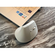 Mouse Logitech Lift Off-White (910-006475) Mouse Logitech Lift Off-White (910-006475)