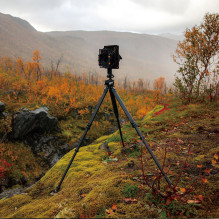 Tripod - Falcam TreeRoot Quick Lock Pro T00A4901 50 kg 52 cm 1.7 kg 3 / 8 inch Mounting
