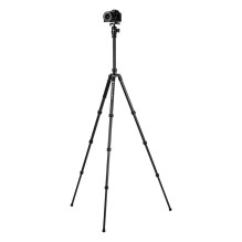 Stovas - Fotopro X go Plus E 2 Anglies Stovas 185cm 10kg Juodas