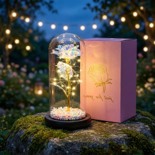 Amžinas Rose stikliniame Extralink namuose, baltas LED šviestuvas Amžinas Rose stikliniame Extralink namuose, baltas LED šviestuvas