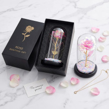 Amžinas Rose stikliniame Extralink namuose, rožinis LED šviestuvas Amžinas Rose stikliniame Extralink namuose, rožinis LED šviestuvas