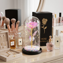 Amžinas Rose stikliniame Extralink namuose, rožinis LED šviestuvas Amžinas Rose stikliniame Extralink namuose, rožinis LED šviestuvas