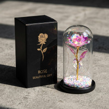 Eternal Rose in Glass Extralink Home, Pink LED Light
