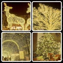 Extralink, Christmas tree lights, festive, 10,5m, 100 LED, warm white, battery-powered