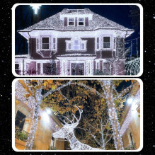 Extralink, Christmas tree lights, festive, 10m, 100 LED, white, cold, outdoor, indoor, battery-powered
