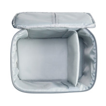 Gray Projector Bag for Mozart 1, Mozart 1 Pro, DaVinci 1 Pro Wanbo