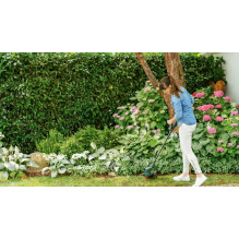 Bosch Easy GrassCut 26 (06008C1J01)
