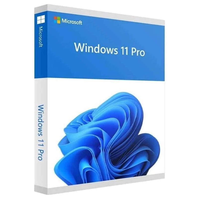 Windows 11 Pro 64 bitų USB Eng HAV-00163