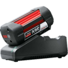 Bosch Bosch starter set 36V (GBA 36V 4.0Ah + AL 36V-20), charger (black, 36V