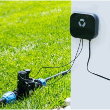 Shelly FrankEver Sprinkler...