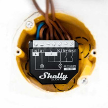 Shelly Qubino Wave 2PM Juoda Shelly Qubino Wave 2PM Juoda