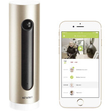 Netatmo Welcome Camera NSC01-EU Gold Netatmo Welcome Camera NSC01-EU Gold