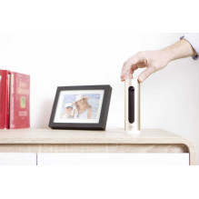 Netatmo pasveikinimo kamera NSC01-EU Gold