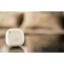 Shelly „Mėlynasis mygtukas“ tvirtas dramblio kaulo spalvos Shelly „Mėlynasis mygtukas“ tvirtas dramblio kaulo spalvos