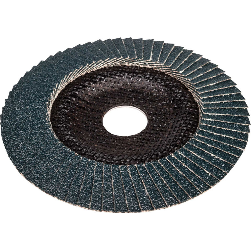 Bosch Bosch atlenkiamas diskas X551 Expert metalui 125 mm (60 grūdėtumas)