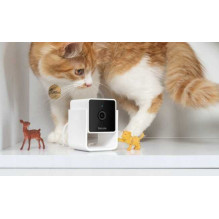 „Petcube“ augintinių kamera su integruotu veterinaro pokalbių mygtuku, balta „Petcube“ augintinių kamera su integruotu veterinaro pokalbių mygtuku, balta