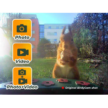 Easypix BirdyCam Easypix BirdyCam