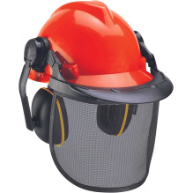 Einhell Einhell Miškininkystės šalmas ( BG-SH 2 ) (oranžinė / juoda)