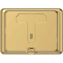 Ezviz DP2C Gold Ezviz DP2C Gold