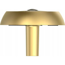 Ezviz DP2C Gold Ezviz DP2C Gold