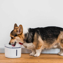 Petoneer Fresco mini Plus PN-110013-01 smart water bowl