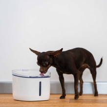 Petoneer Fresco mini Plus PN-110013-01 smart water bowl
