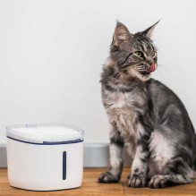 Petoneer Fresco mini Plus PN-110013-01 smart water bowl