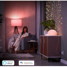 Philips Hue Smart F tipo kištukas
