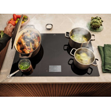 Electrolux EIS8959 Electrolux EIS8959