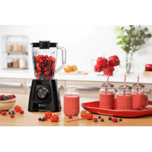 Tefal BL420838 Tefal BL420838