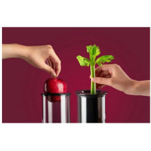 Nutribullet NBJ200G