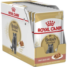 Royal Canin Suaugęs britų...