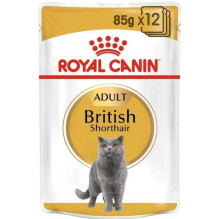 Royal Canin British Shorthair Adult 12x85g Royal Canin British Shorthair Adult 12x85g