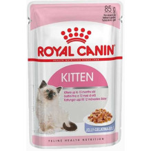 Royal Canin FHN Kitten Instinctive in Jelly 12x85g Royal Canin FHN Kitten Instinctive in Jelly 12x85g