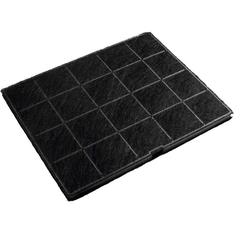 „Electrolux“ anglies filtras „Electrolux“ (ECFB01ST)