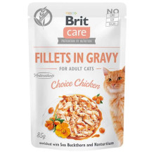 BRIT Care Vištienos filė...