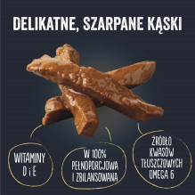 PURINA FELIX skanūs...