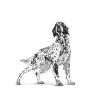 Royal Canin ROYAL CANIN VHN...