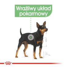 Royal Canin ROYAL CANIN CCN VIRŠKINIMO ĖDALAS CARE KEPALAS - šlapias ėdalas suaugusiems šunims - 12x85g