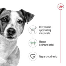 Royal Canin ROYAL CANIN Mini Adult – šlapias šunų maistas – 12 x 85g