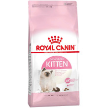 Royal Canin FHN kačiukų...