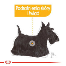 Royal Canin ROYAL CANIN Dermacomfort - Šlapias šunų ėdalas - 12 x 85 g Royal Canin ROYAL CANIN Dermacomfort - Šlapias šunų ėdalas - 12 x 85 g
