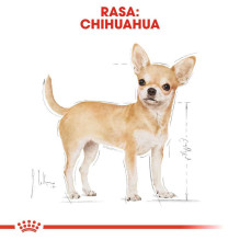 Royal Canin ROYAL CANIN BHN Chihuahua sausas šunų maistas - 1,5 kg Royal Canin ROYAL CANIN BHN Chihuahua sausas šunų maistas - 1,5 kg