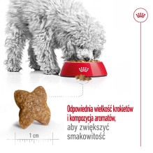 Royal Canin ROYAL CANIN Adult Mini S - dry dog food - 8kg Royal Canin ROYAL CANIN Adult Mini S - dry dog food - 8kg