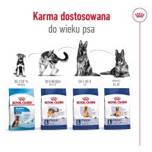 Royal Canin ROYAL CANIN Maxi Adult - dry dog food - 15 kg Royal Canin ROYAL CANIN Maxi Adult - dry dog food - 15 kg