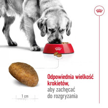 Royal Canin ROYAL CANIN Maxi Adult - dry dog food - 15 kg Royal Canin ROYAL CANIN Maxi Adult - dry dog food - 15 kg